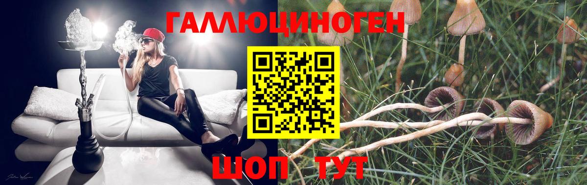 Псилоцибиновые грибы Magic Shrooms Александров
